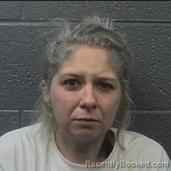 Recent Mugshot Image for FARRAH NICOLE LYNSKEY in Danville County, Virginia