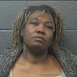 Recent Mugshot Image for Tameca Louise Holland-Womack in Danville County, Virginia