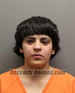 Recent Mugshot Image for ALEXIS ALLISON SAVEDRA in Hockley County, Texas