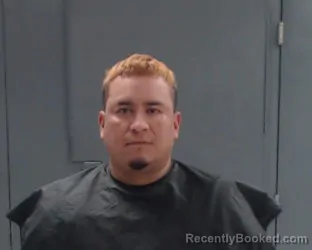 Recent Mugshot Image for LUIS TRINIDAD CASTILLO ARRIAGA in Hunt County, Texas