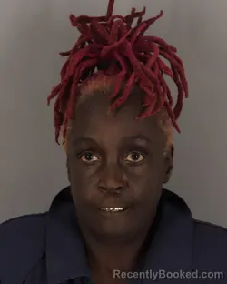 Recent Mugshot Image for CHERYL MINGO in Jefferson County, Texas