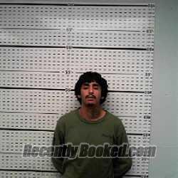 Recent Mugshot Image for ANDREW RAY RAMOS in Jim Wells County, Texas