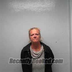 Recent Mugshot Image for SONDRA SUE YOUNG in Jim Wells County, Texas