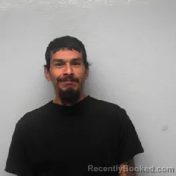 Recent Mugshot Image for ARIEL VILLARREAL in Jim Wells County, Texas