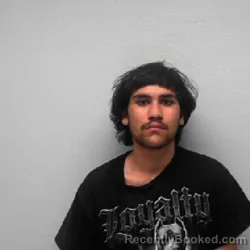 Recent Mugshot Image for LEON MICHAEL GALLEGOS in Jim Wells County, Texas