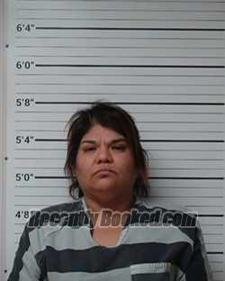 Recent Mugshot Image for Tiffany Ann Garza in Kerr County, Texas