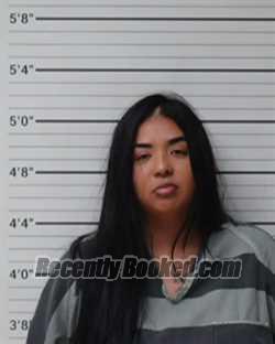 Recent Mugshot Image for Iztlaly Lizeth Navarro in Kerr County, Texas
