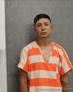 Recent Mugshot Image for JOSE LUIS ACOSTA-PEREZ in Kimble County, Texas