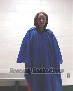 Recent Mugshot Image for AMANDA NICOLE POUL in Liberty County, Texas