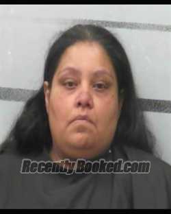 Recent Mugshot Image for MICHELLE LEE RUBIO in Lubbock County, Texas