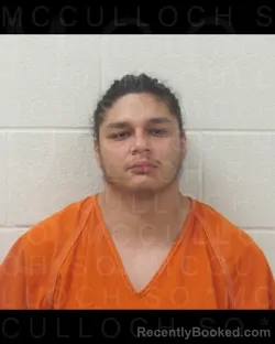 Recent Mugshot Image for JOSE LUIS GONZALEZ in McCulloch County, Texas