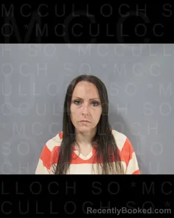 Recent Mugshot Image for SUMMER Britney COOK in McCulloch County, Texas
