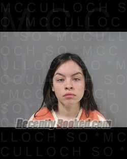 Recent Mugshot Image for ZIANNE NEVEAH JANSSEN in McCulloch County, Texas