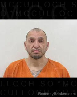 Recent Mugshot Image for SANTIAGO GOMEZ in McCulloch County, Texas