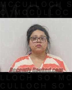Recent Mugshot Image for BREANNA PAIGE HERNANDEZ in McCulloch County, Texas