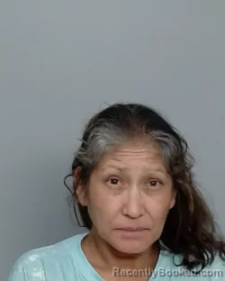 Recent Mugshot Image for LISA ANN SANCHEZ in Nueces County, Texas