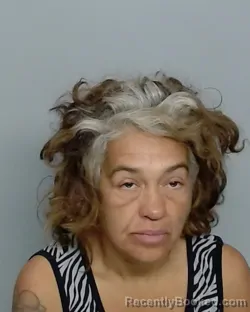 Recent Mugshot Image for MARIA FARIAS in Nueces County, Texas