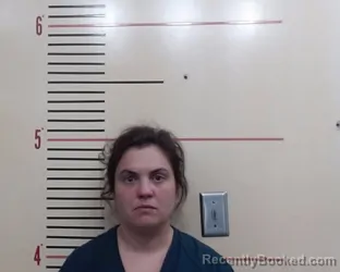 Recent Mugshot Image for TARA ANN SNIDER in Parker County, Texas