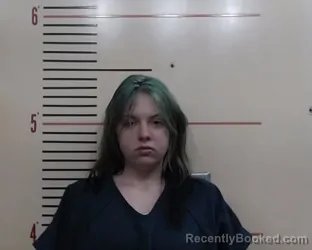 Recent Mugshot Image for NICOLE MARIE OLSON in Parker County, Texas
