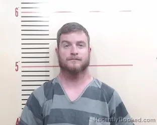 Recent Mugshot Image for Trevor Allen Lemke in Parker County, Texas