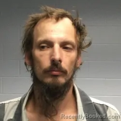 Recent Mugshot Image for JORDON HAAG TEES in Polk County, Texas