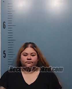 Recent Mugshot Image for Bianca Lee Velos in Taylor County, Texas