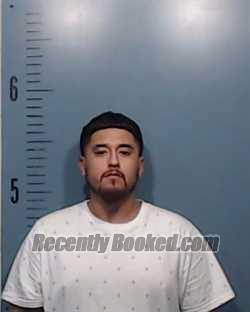 Recent Mugshot Image for Pedro Tamez in Taylor County, Texas