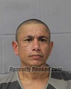 Recent Mugshot Image for OSCAR DE LOSANGELES in Travis County, Texas