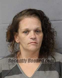 Recent Mugshot Image for ELLEN HILDEBRANT in Travis County, Texas