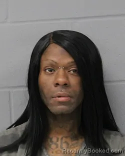 Recent Mugshot Image for BRIAN JOHNSON in Travis County, Texas