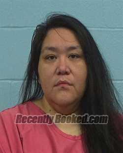 Recent Mugshot Image for NICOLE DENISE DIAZ in Williamson County, Texas