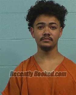 Recent Mugshot Image for Jacobi Patrick Erickson in Williamson County, Texas