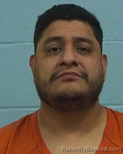 Recent Mugshot Image for Winston Mendoza in Williamson County, Texas