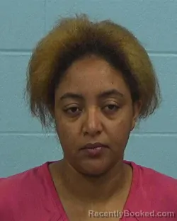 Recent Mugshot Image for Woiny Tsegaab Teka in Williamson County, Texas