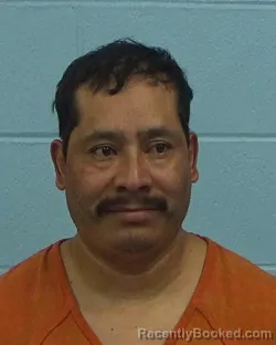 Recent Mugshot Image for DANIEL SANTOS TZOY in Williamson County, Texas