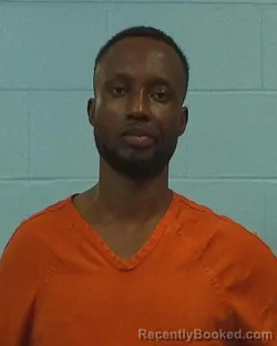 Recent Mugshot Image for Oyelekan Afeez Oyedeji in Williamson County, Texas