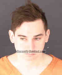 Recent Mugshot Image for CRAIG NELSON JR WICKS in Sarasota County, Florida