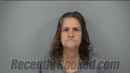 Recent Mugshot Image for BRENDA ANN BRUSH in Delaware County, Ohio