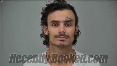 Recent Mugshot Image for ETHAN ALLEN GENE HALLIGAN in Delaware County, Ohio