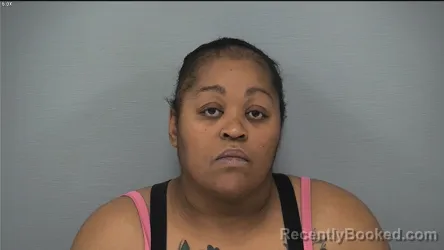 Recent Mugshot Image for TARA RENEE JONES in Delaware County, Ohio