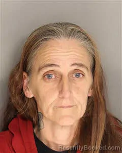 Recent Mugshot Image for Jennifer L Johnson in Berkeley County, South Carolina
