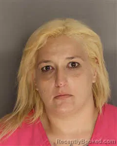 Recent Mugshot Image for Meggin Sylvia Newman in Berkeley County, South Carolina