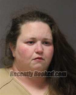 Recent Mugshot Image for BRIANNE LEE BASKERVILLE in Ocean County, New Jersey