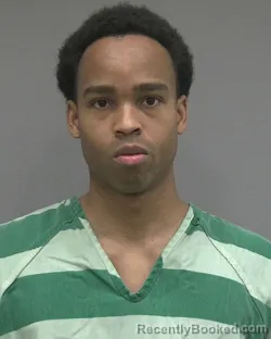 Recent Mugshot Image for WALLACE LOUIS TAYLOR in Alachua County, Florida