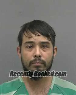 Recent Mugshot Image for ISRAEL DAVID ROSARIO in Alachua County, Florida