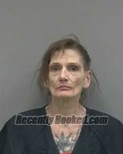 Recent Mugshot Image for JUNE MARIE MCENROY in Alachua County, Florida