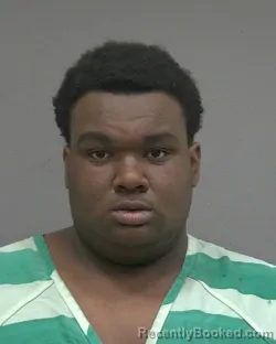 Recent Mugshot Image for DORIAN FORTUNDIA WILLIAMS FRYER in Alachua County, Florida