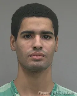 Recent Mugshot Image for BRYAN ANDRES GONZALEZ MENA in Alachua County, Florida