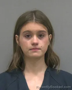 Recent Mugshot Image for VERONICA MAE AGNE in Alachua County, Florida
