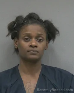 Recent Mugshot Image for CANVAS LASHES MORRIS in Alachua County, Florida